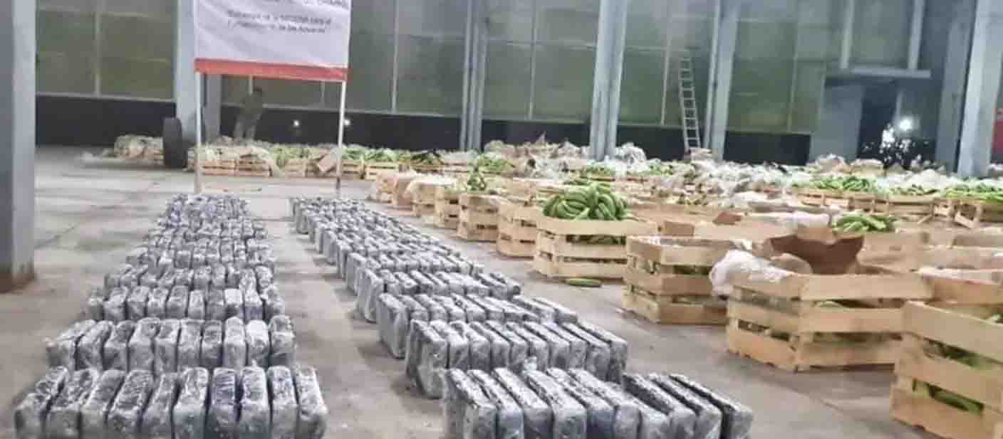 Asegura Ejército más de 270 kilogramos de cocaína en Chiapas ocultos en cajas de plátanos, tenían como destino Culiacán
