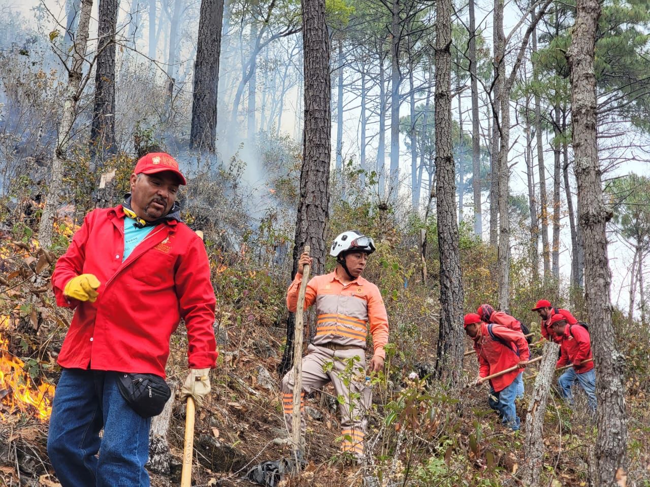 Cuerpos de auxilio atienden incendio forestal en SCLC