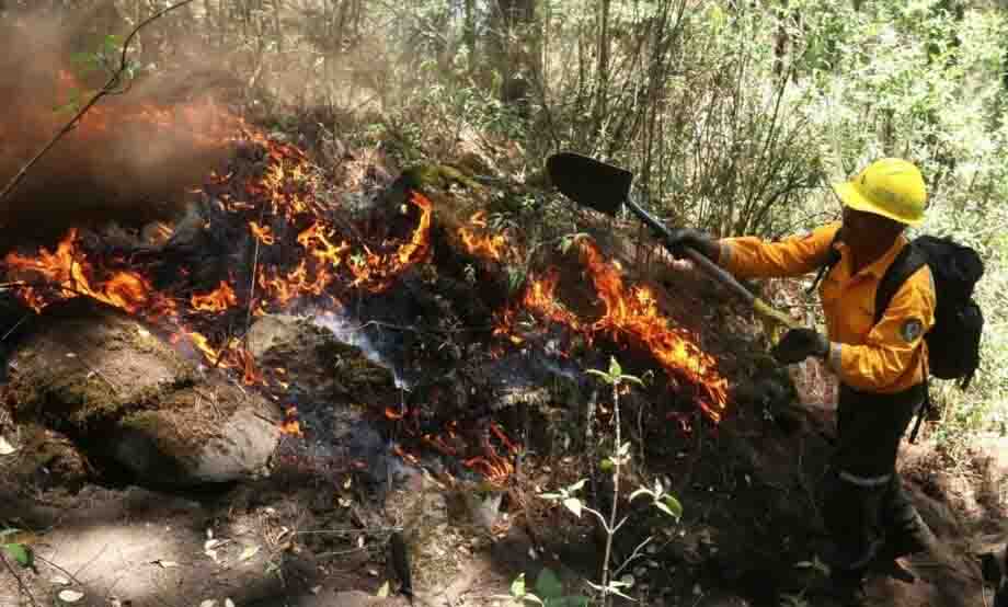Conafor reporta 93 incendios forestales activos en México