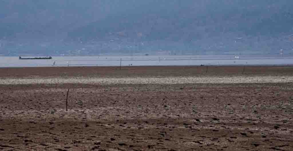 Sequía afecta a más del 75% de los municipios del país: SMN
