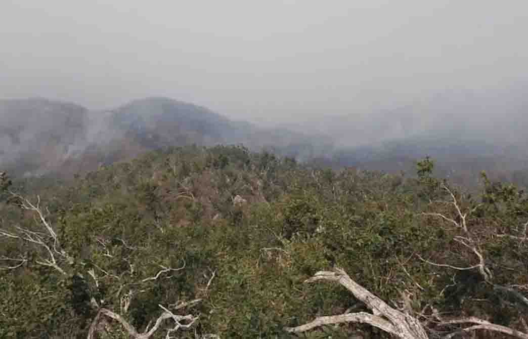 Suspenden clases en Acapulco y Chilpancingo por humo de incendios forestales