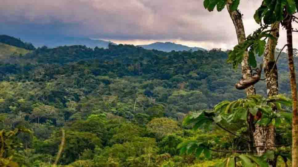 Habitantes de los Chimalapas piden base militar, ante amenazas de grupo delincuencial