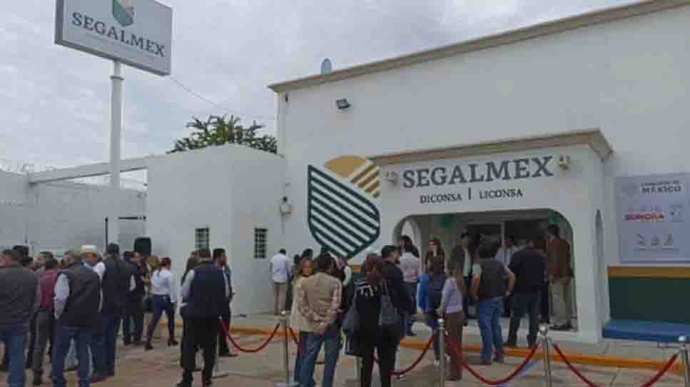 Sales Up, proveedora exclusiva de Segalmex que acumula denuncias administrativas y penales
