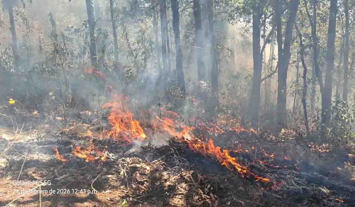 Atienden brigadas municipales incendio forestal en comunidad Santa Lucía de San Cristóbal