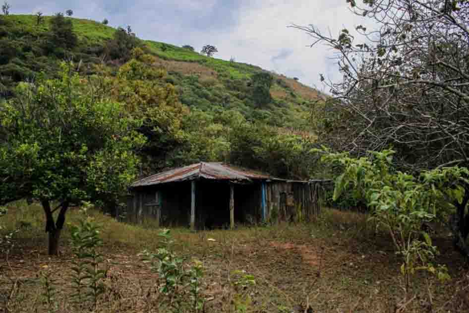 FGR halla 10 cuerpos en búsqueda de mineros desaparecidos en Sinaloa; 5 ya fueron identificados