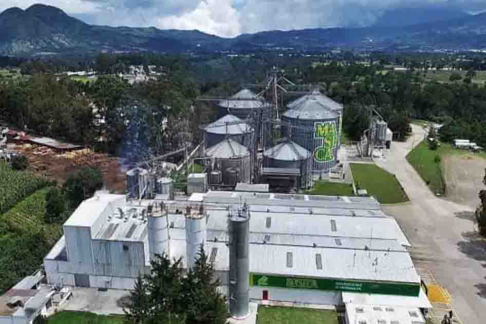 Crece Gruma en ventas al cierre del cuarto trimestre de 2025