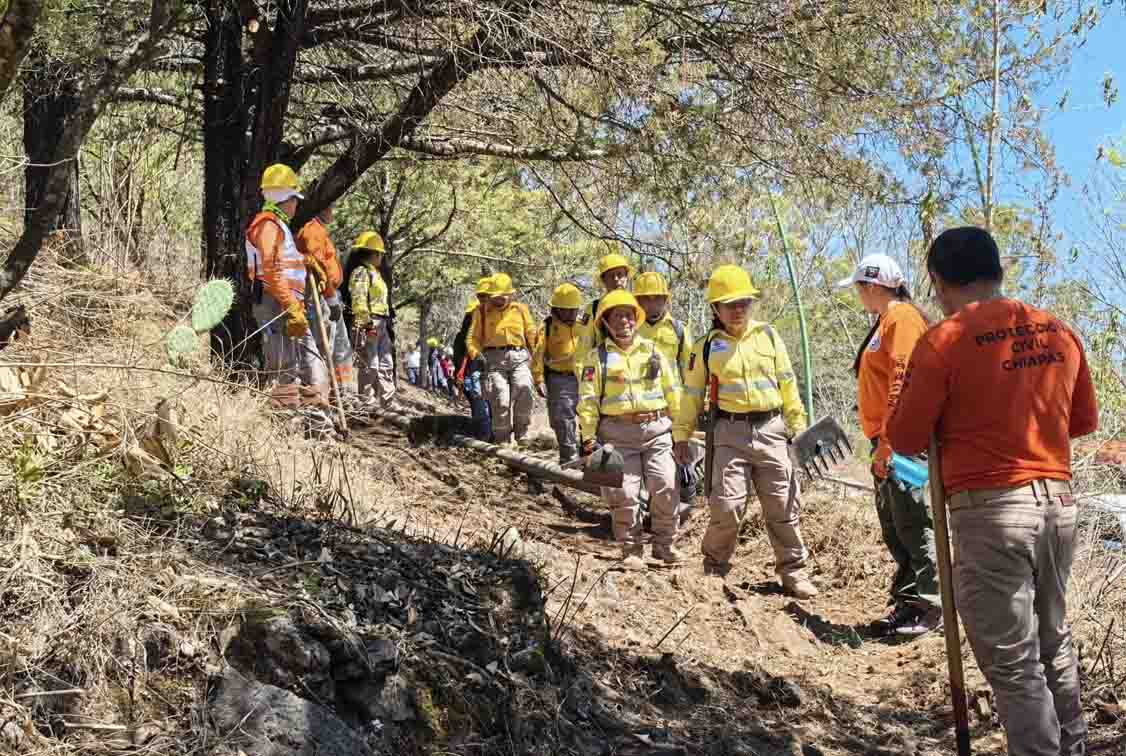 Refuerzan coordinación interinstitucional para prevenir incendios forestales en San Cristóbal de Las Casas