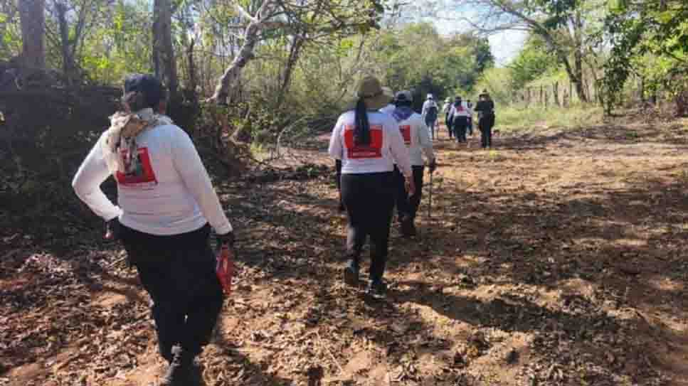 Desde 2010 han asesinado a 35 madres buscadoras, 25 de ellas en gobiernos de la 4T