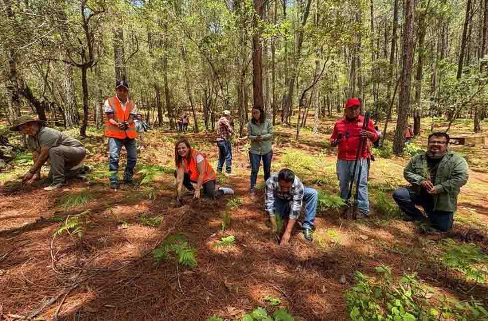 San Cristóbal, reconocida como “Ciudad Árbol” a nivel internacional por su compromiso ambiental