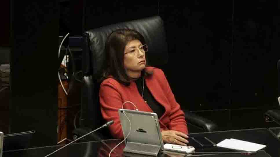 Senadora de Morena admite que ordenó sacrificar a 10 mil perros en Tecámac