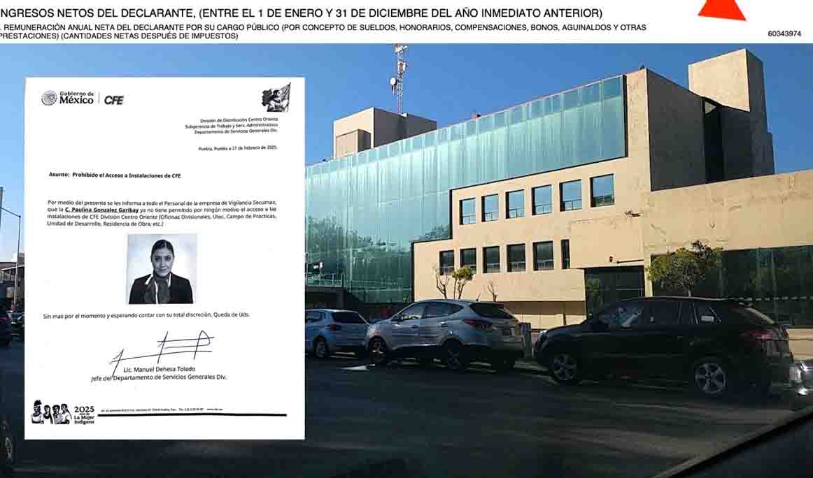 La funcionaria que ganó más de 60 millones de pesos en un año en CFE