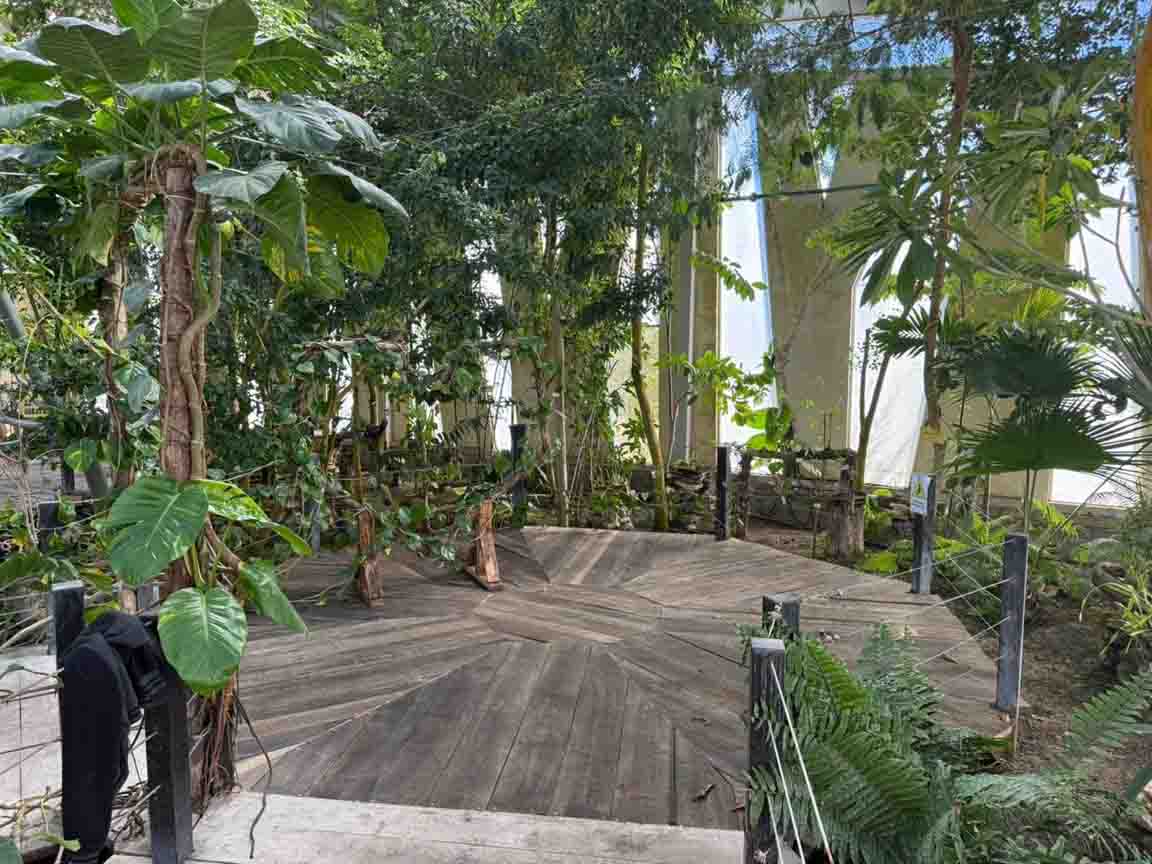 Profepa dona madera a Orquideario