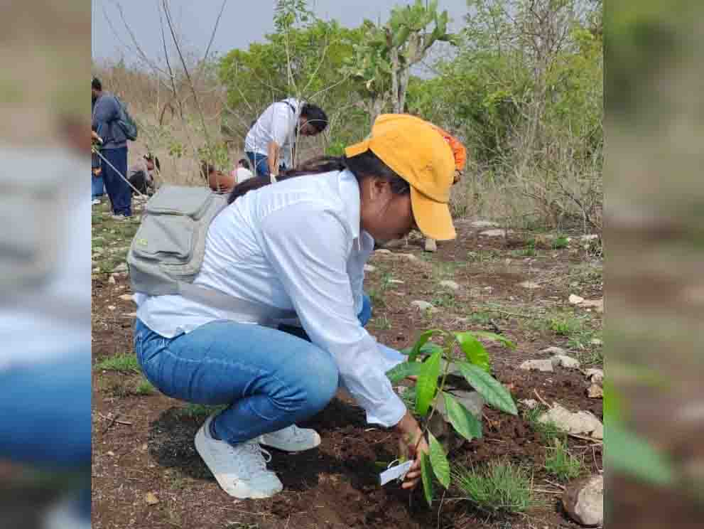 Municipios de Chiapas se unen por la restauración ambiental con Jornada Simultánea de Reforestación