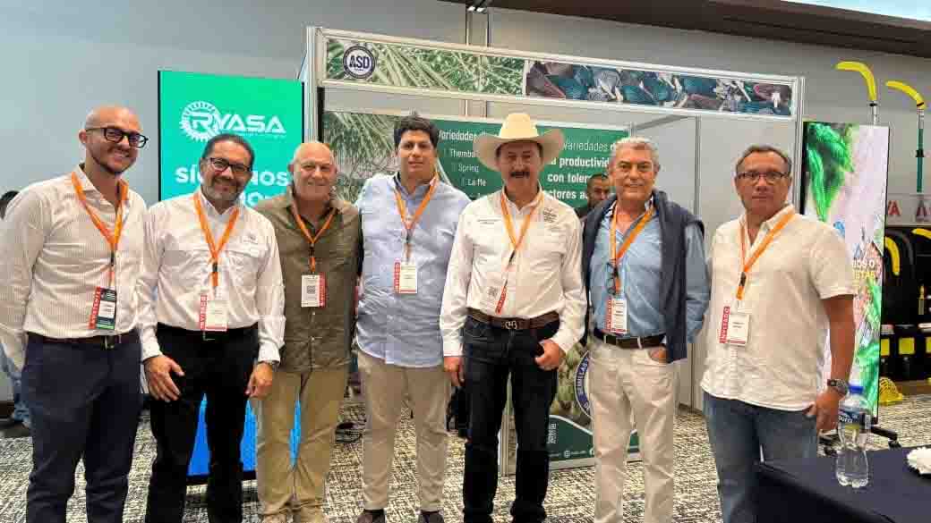 Propone Chiapas refinadora de aceite de palma