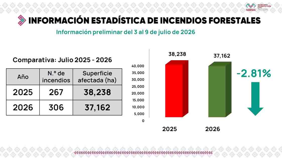 A la baja en superficie afectada por incendios forestales