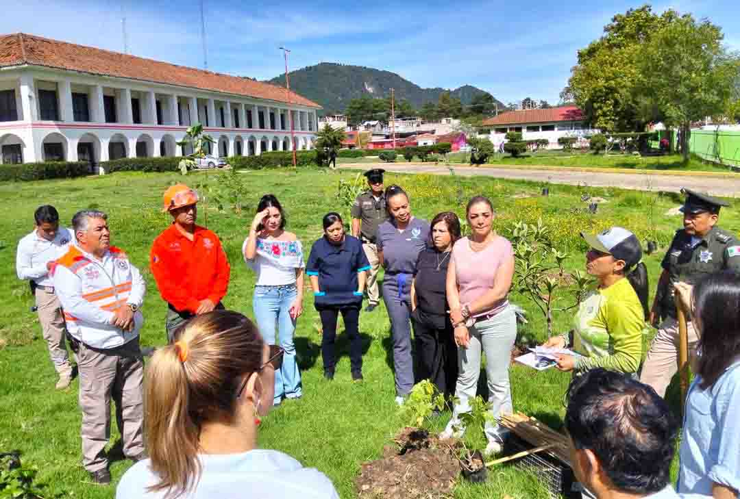 San Cristóbal fortalece su compromiso ambiental con jornada de arborización por el Día del Árbol