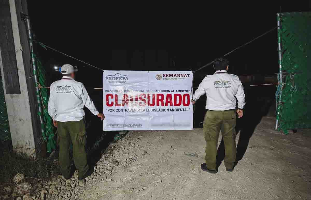 Aseguran aserraderos en Comitán