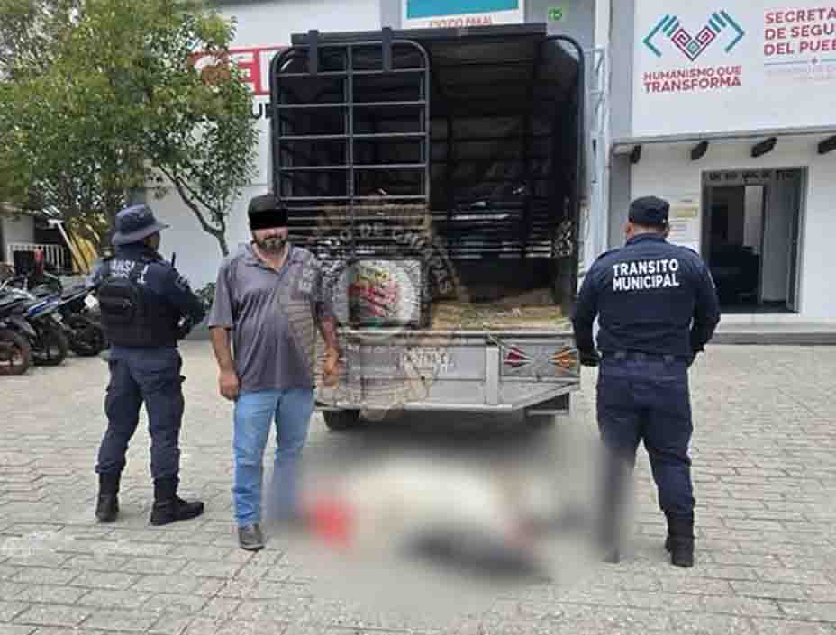 Autoridades municipales sancionan y detienen a individuo por uso indebido de contenedores