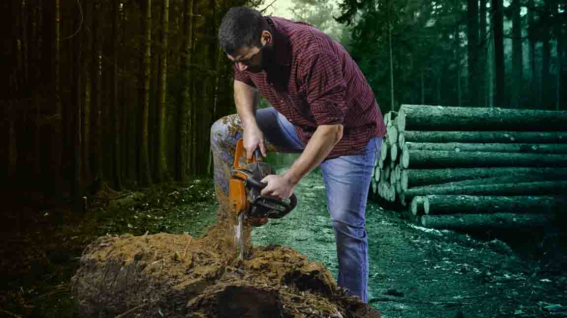 México registra una deforestación bruta de 178,000 hectáreas y restaura menos de 35,000