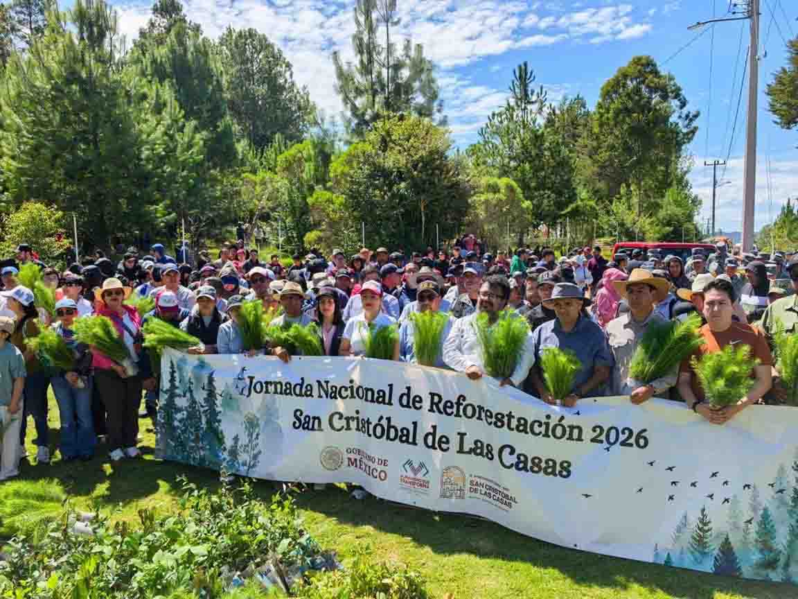 San Cristóbal se suma a la Jornada Nacional de Reforestación con 18 mil árboles