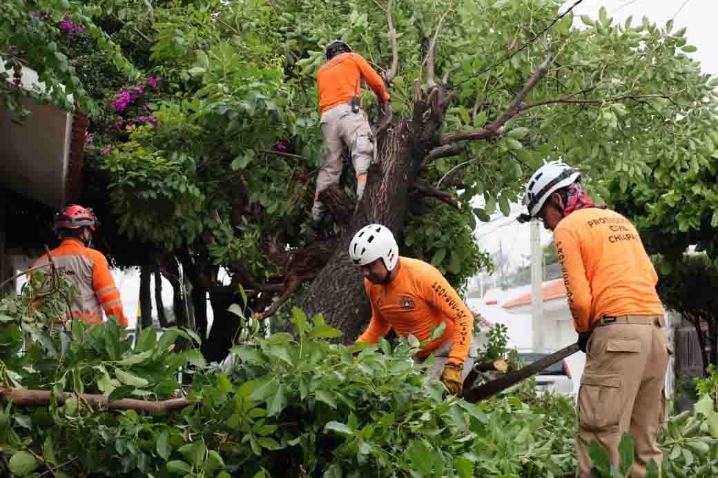 Lluvias y fuertes vientos provocan afectaciones en San Cristóbal