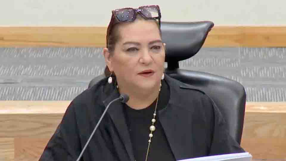 Taddei rechaza denuncia del PRI contra consejeros del INE en Estados Unidos