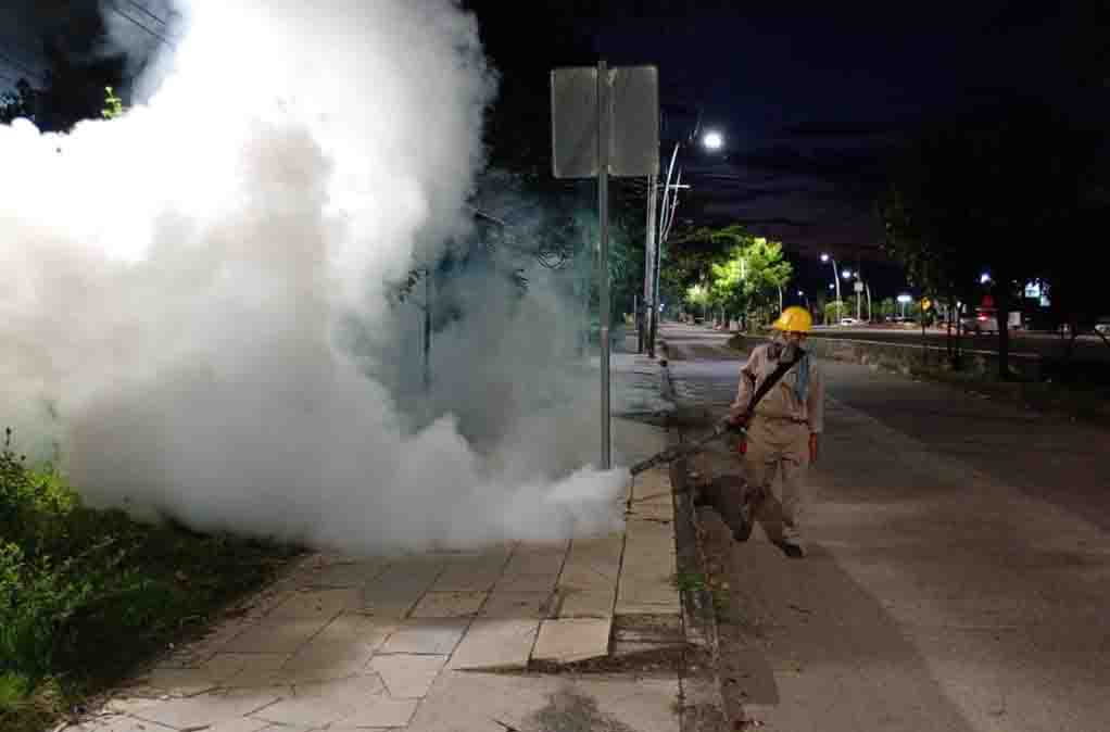 Exhorta Salud a sumarse a la eliminación masiva de criaderos de mosquitos para prevenir el dengue