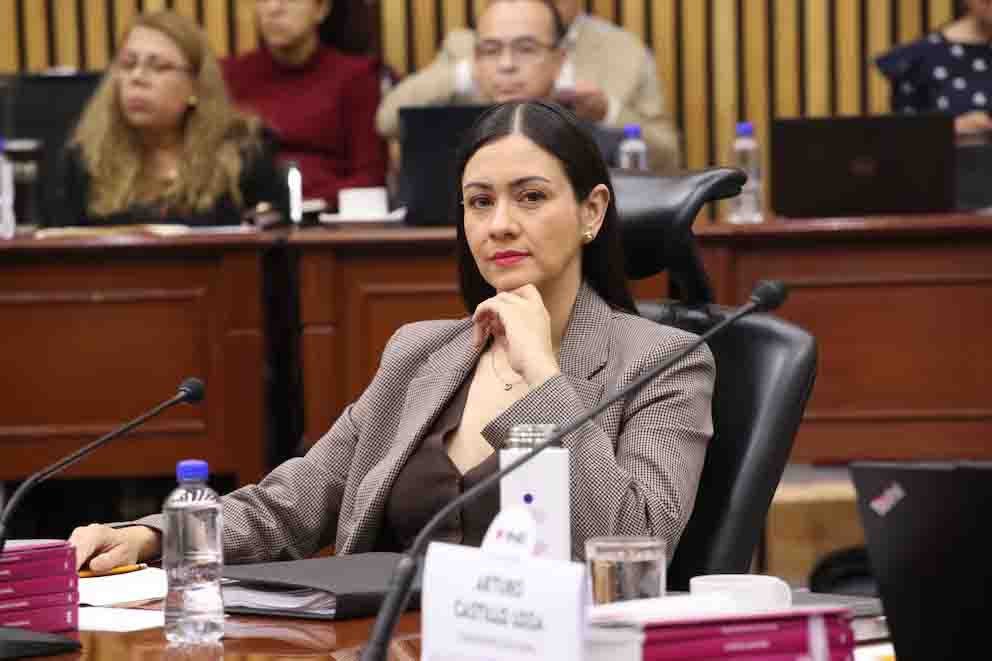 “El INE no fue concebido para depender de una sola voluntad”: el discurso de Blanca Cruz al tomar protesta como presidenta provisional